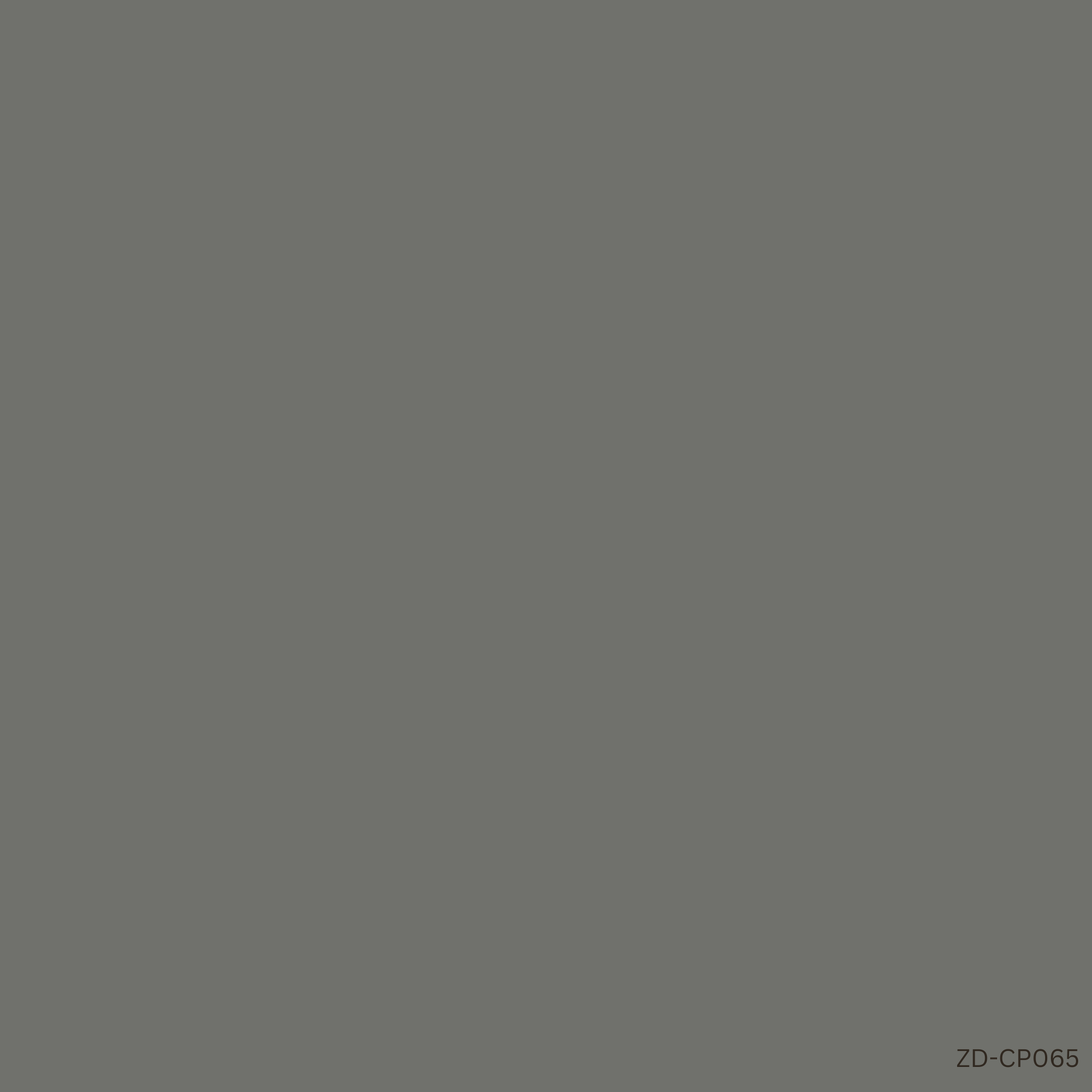 CP065